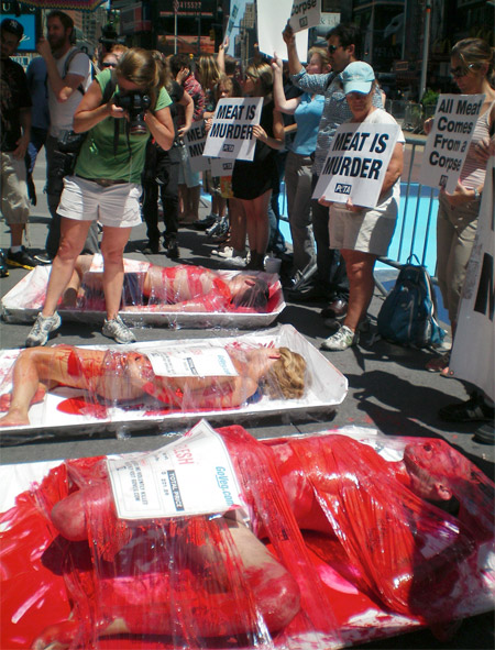 peta<em>hús3.jpg